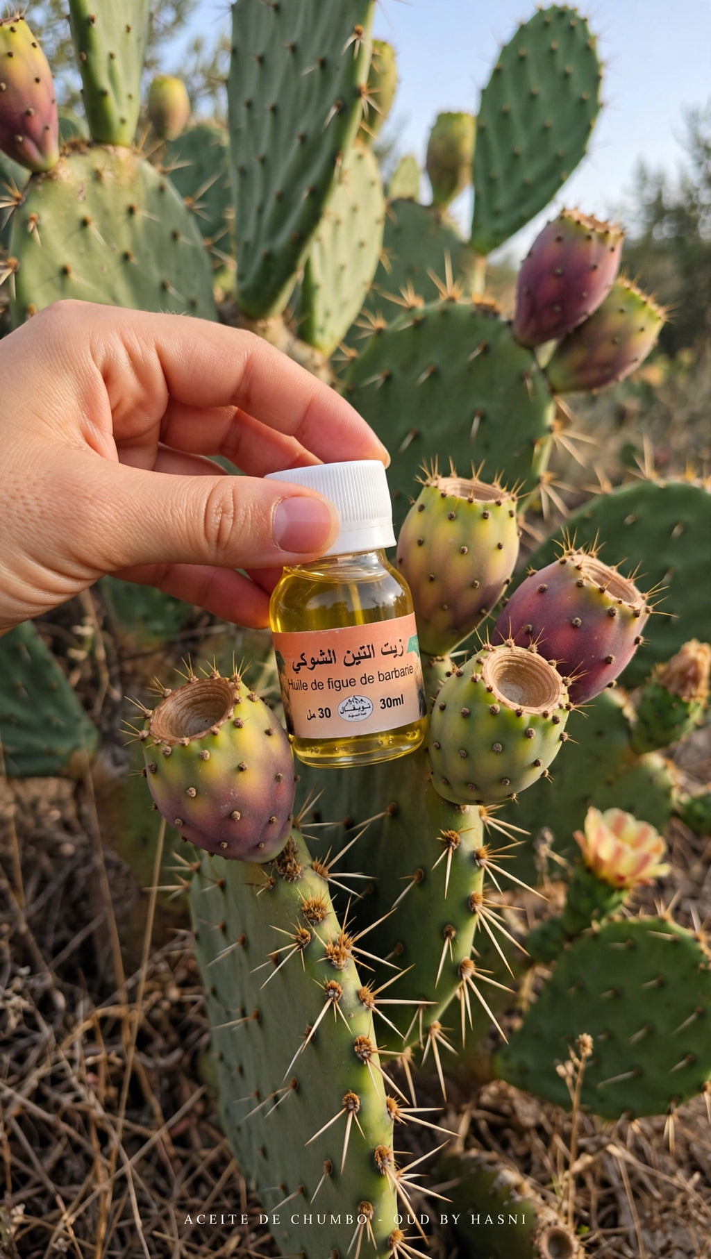 Aceite Semilla Higo Chumbo