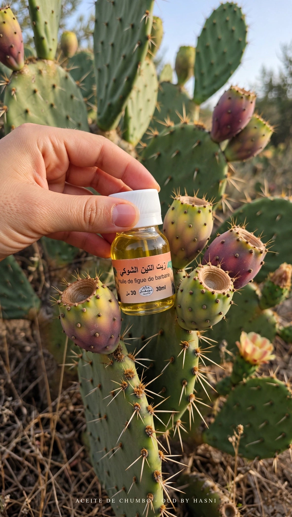 Aceite Semilla Higo Chumbo